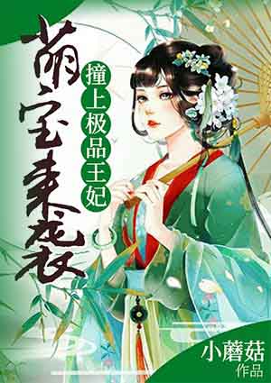 萌宝来袭:撞上极品王妃