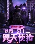 梦兽时代:我有一只十二翼天使猪